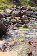 seashore with waves and foam