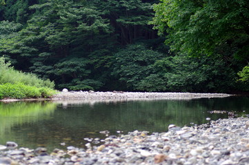 渓流/仙見川/夏井川渓谷