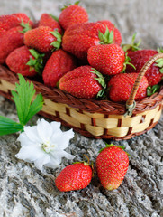 Strawberry basket