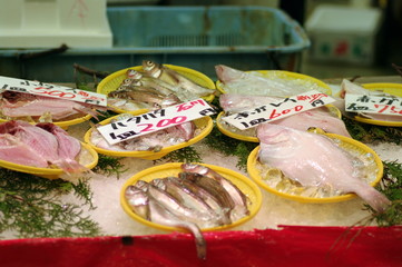 鮮魚店の魚たち