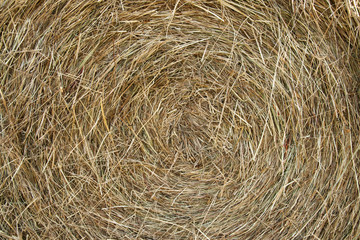 Hay background
