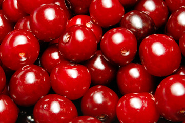 sour cherry background