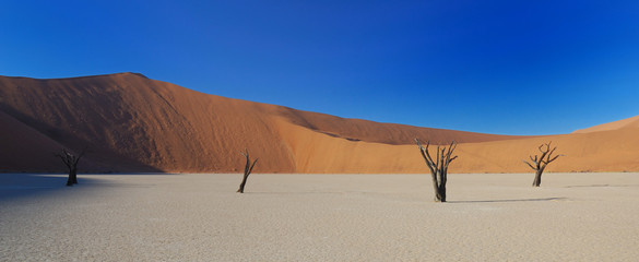 Tote Bäume im Deadvlei