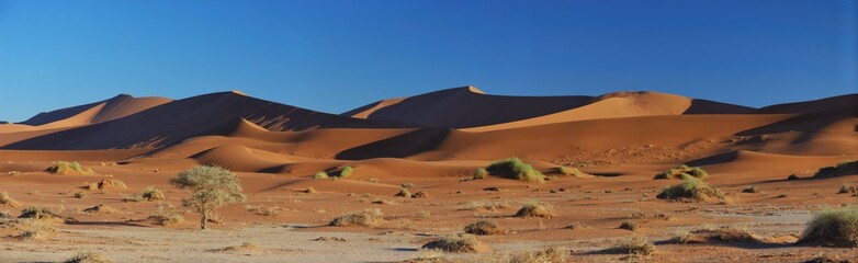Dünen bei Sossusvlei