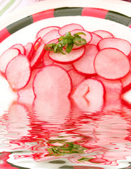 radieschensalat