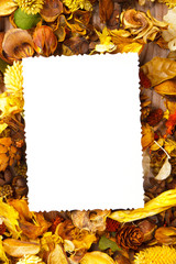 autumn background