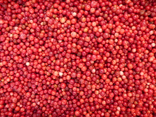 Background -lingonberries