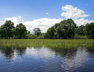 Wetlands landscape in National Park in Belarus