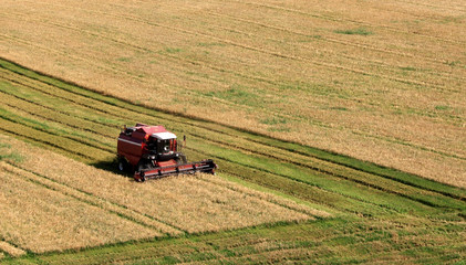 Fototapeta premium Combine machine