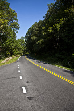 scenic country road curves through Shenandoah  National Park.