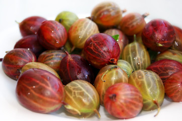 Gooseberries close up