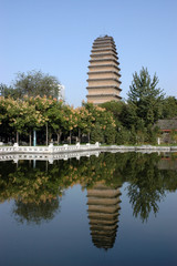 small wild goose pagoda xian china