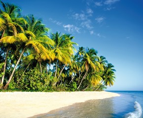 Traumstrand, Insel paradies, Südsee, Karibik