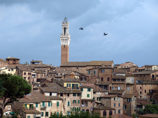 Fototapeta na wymiar Siena - panorama of the old part of town with Torre del Manga