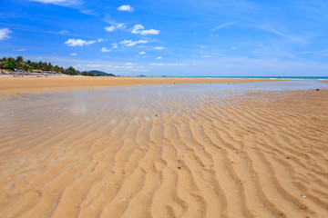 Low tide on golden sand beach