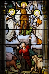 Schilderijen op glas Vitrail, Jeanne d'Arc © Marco Desscouleurs
