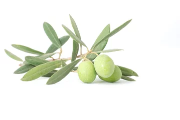 Foto op Plexiglas Oliven isoliert auf weißem Hintergrund, Olivenzweig mit Blättern und grünen Früchten © Berit Kessler
