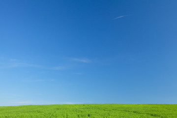 Naklejka na ściany i meble Green Grass and Blue Sky