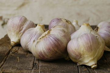 garlic