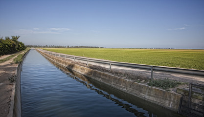 Fototapeta premium canal de riego