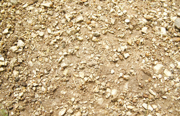 Pebble and small rock on the ground.