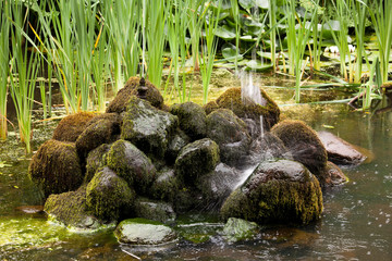 Fountain landing on mossy rocks