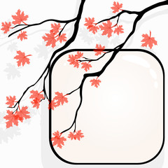 Autumnal tree background