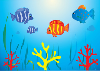 aquarium avec poissons tropicaux et coraux