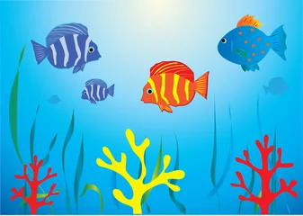 Poster aquarium met tropische vissen en koralen © peony