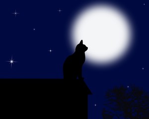 Moon cat