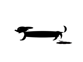 The dog made a puddle