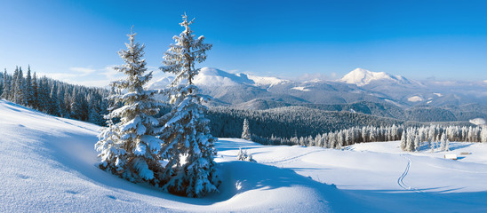 winter mountain panorama