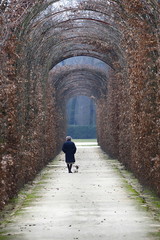 reggia maria luigia colorno parma