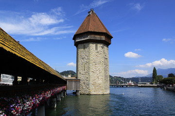lucerne