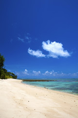 Tropical beach - Neil island, Andaman islands.