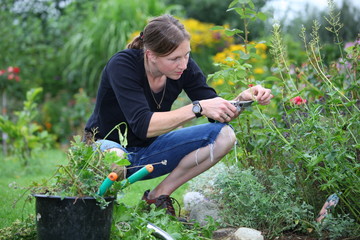 Frau schneidet ein paar Blumen im Garten