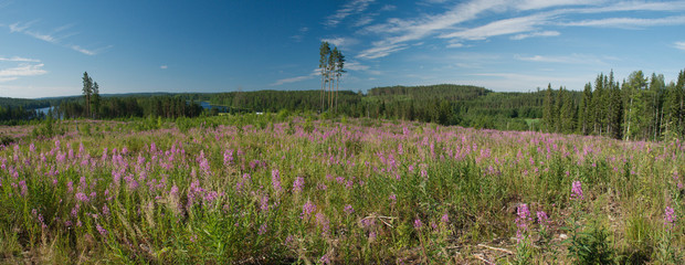 Nature ladscapa of Central Finland, Hankasalmi Municipality