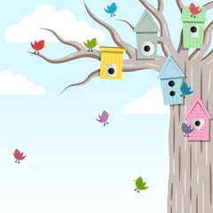 No drill light filtering roller blinds Birds in the wood Bird house on the tree