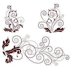 Set of floral swirl vector elements