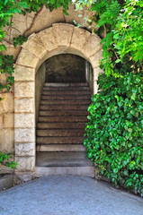 Fototapeta premium Old garden gate