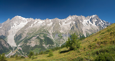 Fototapeta na wymiar Panorama Mont Blanc