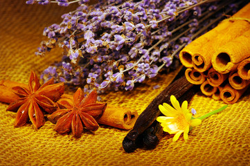 background of various colorful spices