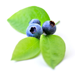blueberry