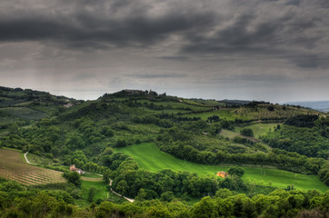 Obraz premium Paesaggio collinare marchigiano
