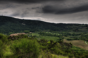 Naklejka premium Paesaggio collinare marchigiano