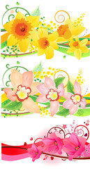 Three beautiful floral elements with daffodils and orchids