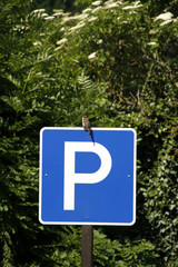 Parkplatzschild mit Spatz