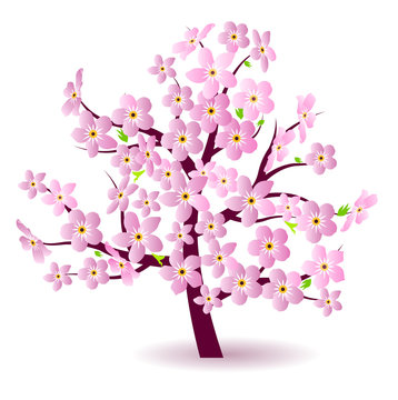 Blossoming spring tree