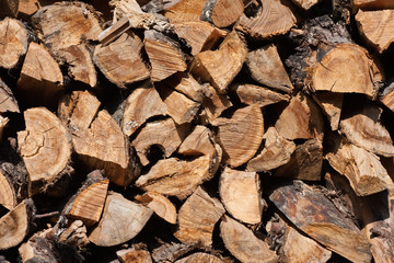 Firewood stacked in a woodpile