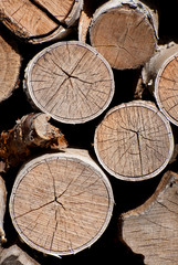 Naklejka premium stack of wood